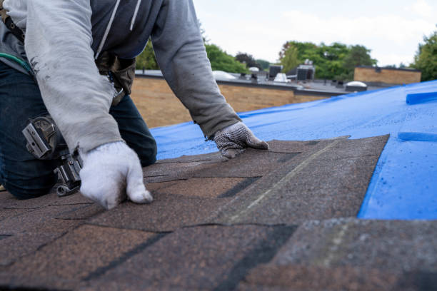 Best Rubber Roofing (EPDM, TPO)  in Chestnut Ridge, NY